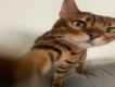user picture3