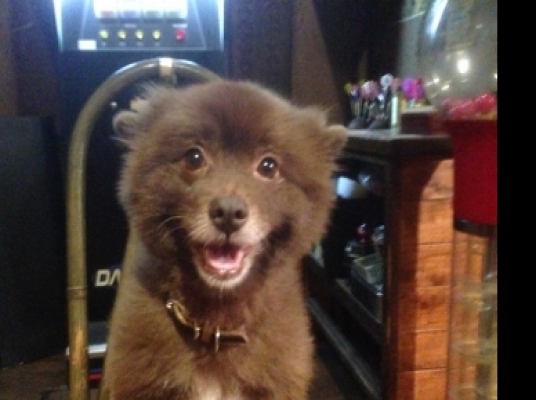 Blue room  볼링장