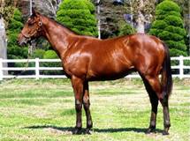 Blue room  볼링장