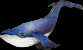 우주고래(부산)