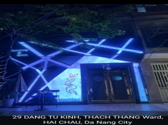 [DA NANG] RABBIT 