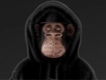 user picture3