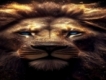 user picture3