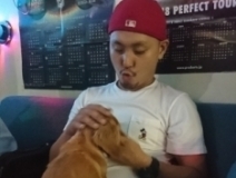 user picture