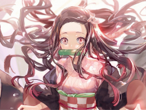 user picture